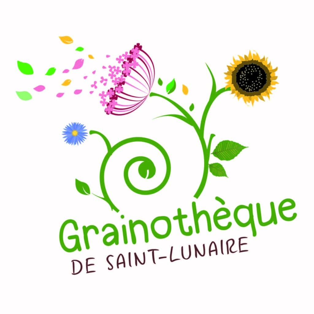 logo grainothèque mediathèque projet instinct graphik cyrielle hergué